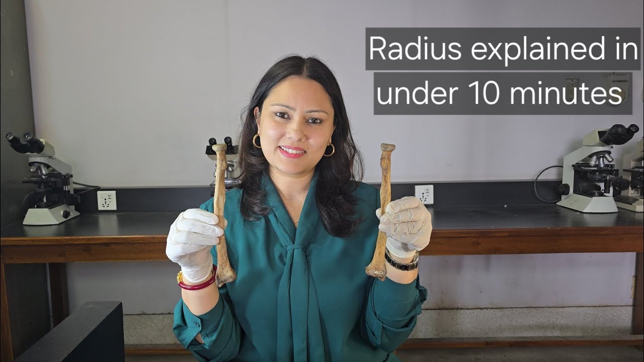 Osteological description of the Radius bone Thumbnail
