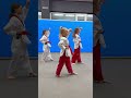 Poomsae 1 TAEGEUK 1JANG Taekwondo Poomsae Kicks