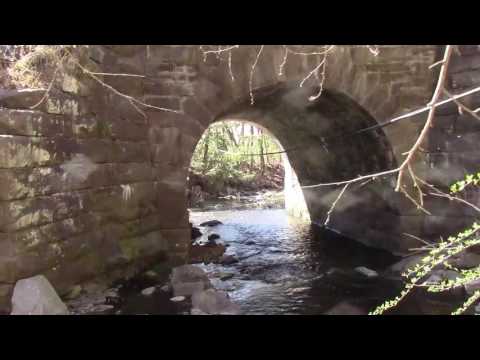 ABANDONED Factory ruin along Rt. 97!