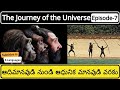 Human Evolution In Telugu The First Human How Humans Formed On Earth Telugu Badi