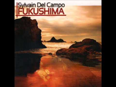 Sylvain Del Campo - Systeme D.C. (Fukushima, 2013)