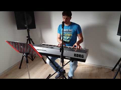 Pjesmo moja-Zdravko Čolić (Cover) Zlatko Tole