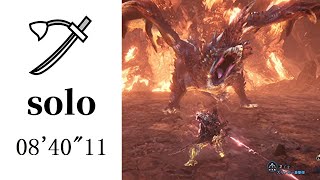 槌哥pepo 煌黑龍solo 9分33秒