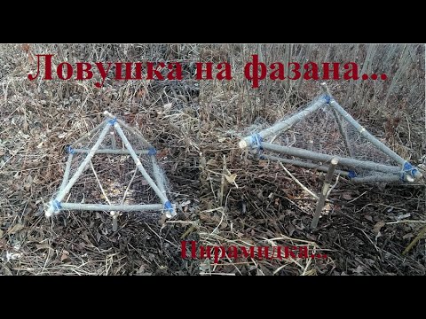 Ловушка на фазана своими руками чертежи и размеры