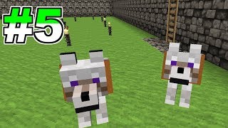 マインクラフトで自宅を守り抜く配信#5