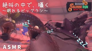 【ASMR】囁き声でシャケから平和を守るタラポートビッグラン🐟【サーモンランNEXTWAVE/スプラトゥーン3】