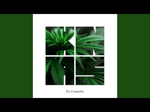 Dr. Cannabis (Instrumental)