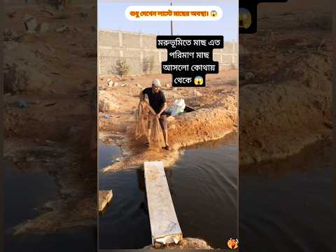 দেখলে অবাক হয়ে যাবেন। ❤️