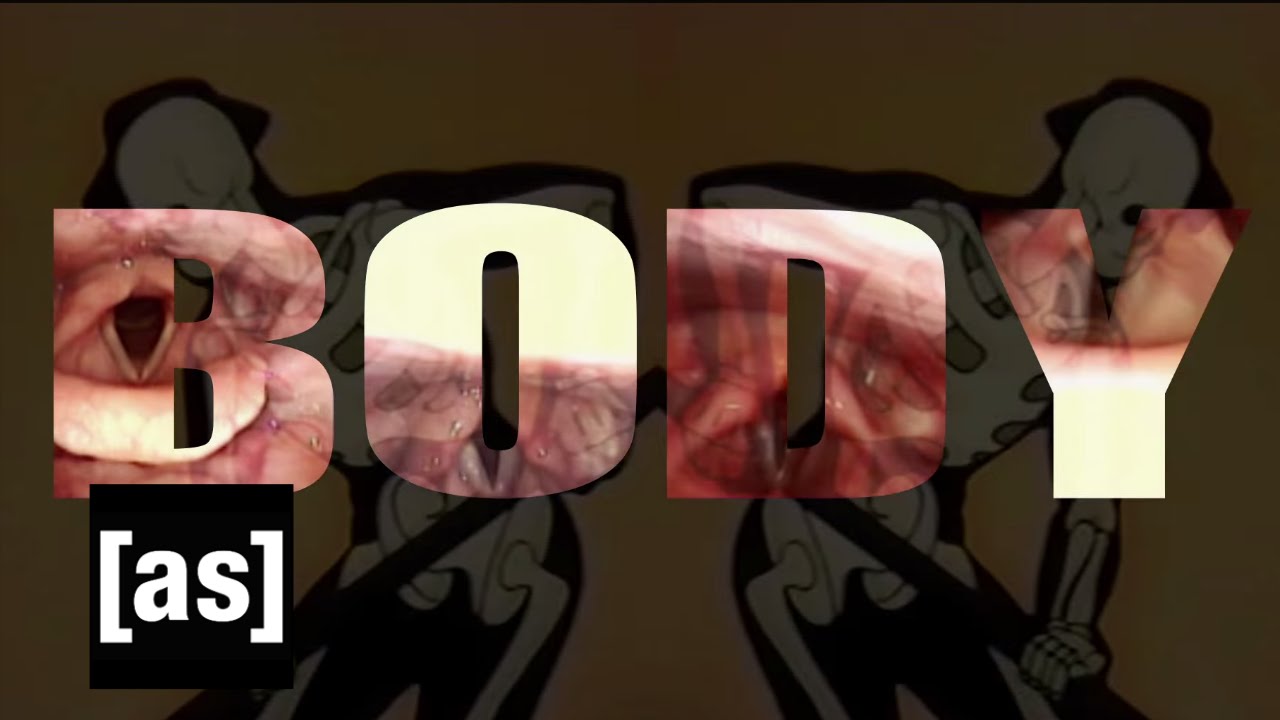 Body | Off the Air | Adult Swim