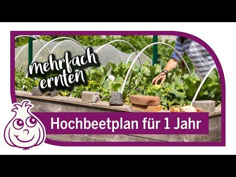 Planting a raised bed and harvesting all year round Part 2 (2/3)