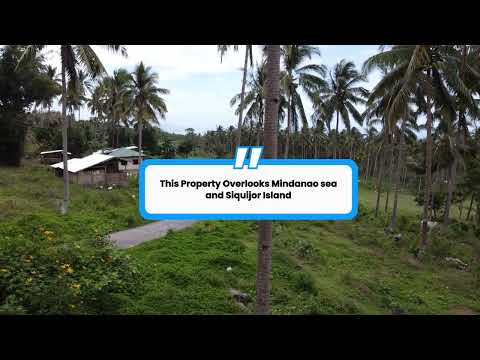 Lot for Sale in Negros Oriental