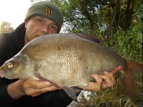 Gravel pit bream, bait  and be careful who you listen to