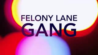 Advanced Crime Analytics YouTube Video