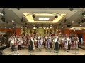 Ой, да нарубила баба дров (Лазоревый цвет) 