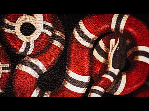 Lil Baby x Polo G Type Beat - "Dangerous" | Hard Rap Trap Instrumental 2022