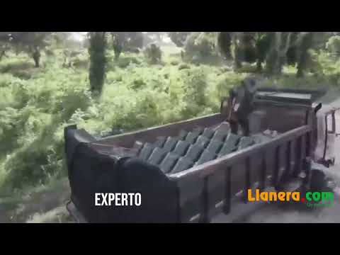 Niños en peligro en Arauca