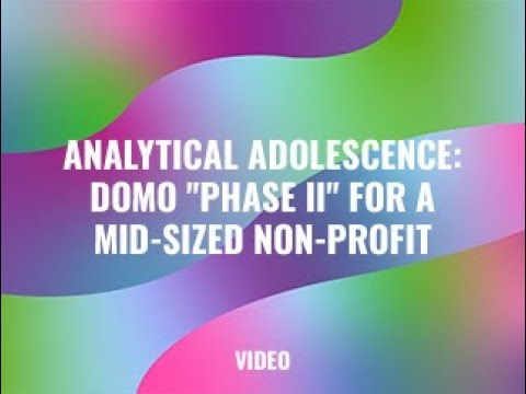 Analytical Adolescence: Domo "Phase II" for a Mid-Sized Non-Profit