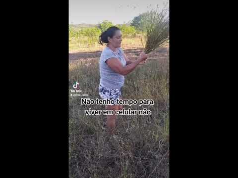 Os melhores vídeos do tik tok -- CASA DA MÃE JOANA