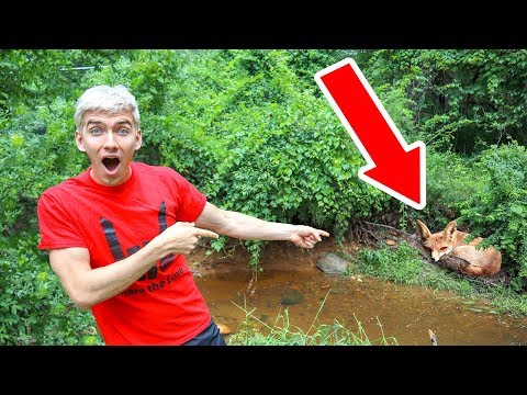 BABY MONSTER IN POND FOUND!!