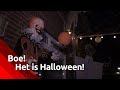 Horror in Breda: Ultiem versierd halloween-huis
