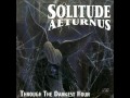 SOLITUDE AETURNUS -Perfect Insanity 
