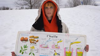 Le fruit de la giroflée est une silique