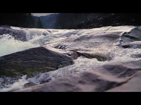 BEDU NZ film