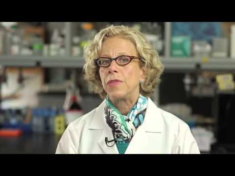 Maternal Malignancy And Noninvasive Prenatal Testing