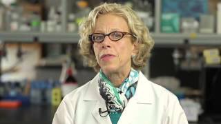 Maternal Malignancy and Noninvasive Prenatal Testing