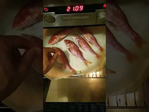 Video thumbnail: Barbun i Pjekur në Furrë