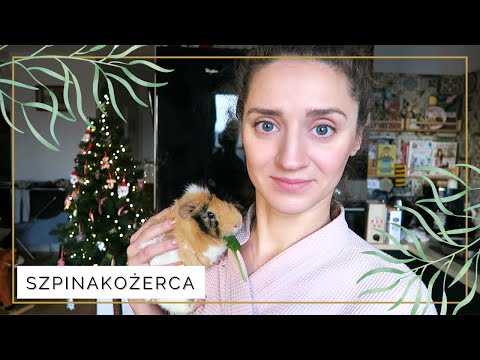 Szalony początek roku ☺️