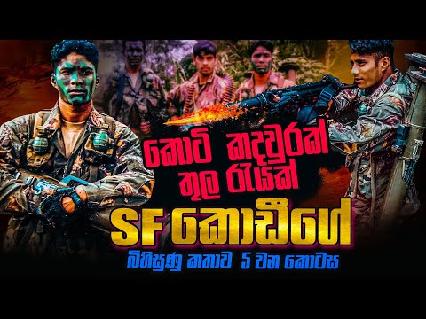 කොටි කදවුරක් මැද රැයක් ගත කල SF කොඩීගේ බිහිසුණු මතකය (05 වන කොටස) | WANESA TV