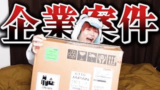 【祝】あかずきんに初めての企業案件がきた！！！！【HyperX】