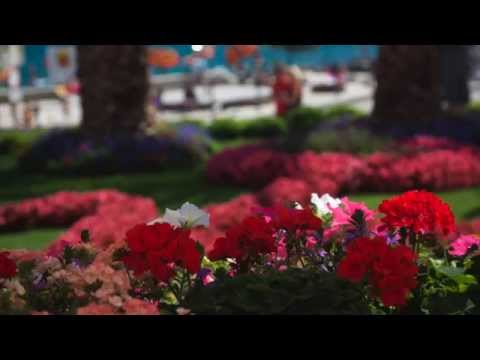 TU SAN ROJEN - Voljen Grbac & Joso Butorac Mik 2015