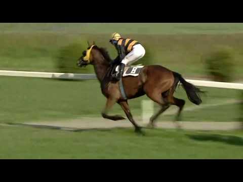 CH, 22. 4. 2018, 7. dostih - CENA MASTERCARD PRICELESS SPECIALS