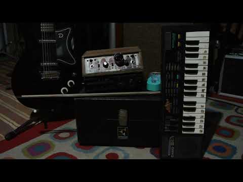 SoaringTortoise Orchestra: String Quartet and Casio