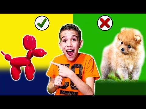 Ο ΟΔΥΣΣΕΑΣ ΠΗΡΕ ΣΚΥΛΑΚΙ! * Ο ΝΤΙΜΟΝ ΖΗΛΕΥΕΙ ΠΟΛΥ *