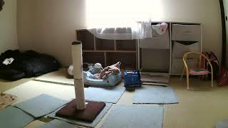 フミくん部屋監視中