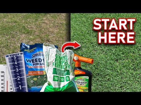 Beginner Lawn Care Tips // The Must-Know Steps to Fix Your Ugly Lawn