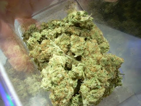 THIS IS W.C.A. $QVAD (Trailer)