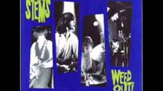 THE STEMS - stepping stone