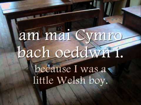 Cân yr Ysgol - Dafydd Iwan (geiriau / lyrics)