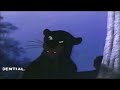 Disney S The African Jungle Book 1987 2011 DVD Part 7