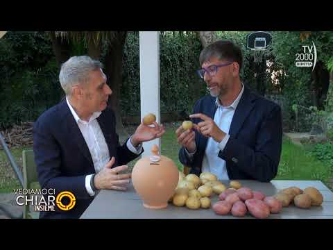 Vediamoci Chiaro Insieme (TV2000) - Patate, come sceglierle e conservarle