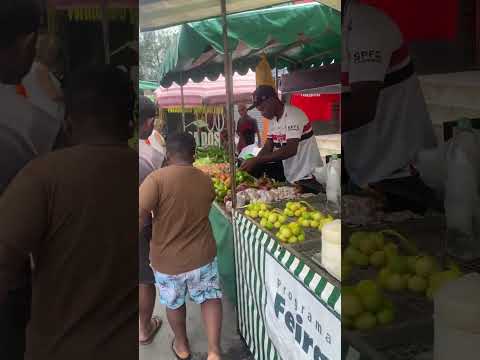 FEIRA DO PALMITAL 2026