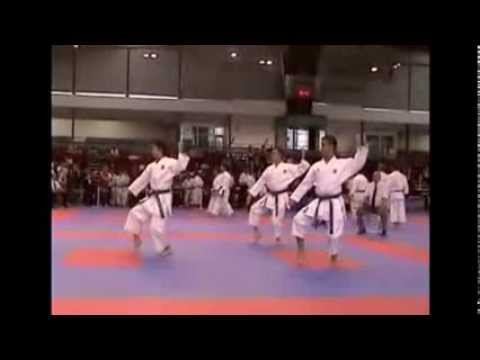 EUROPEAN KARATE CHAMPIONSHIP FOR REGIONS - PARIS 2006 (Round 2)