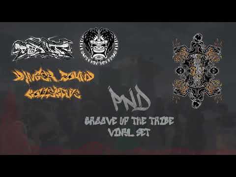 Big Fucking Party Vol 3 I 2024 - 2025 I PND - Vinyl Set @ Danger Sound Collective Resolut BGH Wall