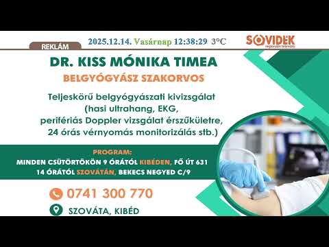 Sóvidék Televízió