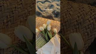 Download lagu Bawalah pergi cintaku#liriklagu #lirikestetik #foryou #musicindonesia #afgan mp3