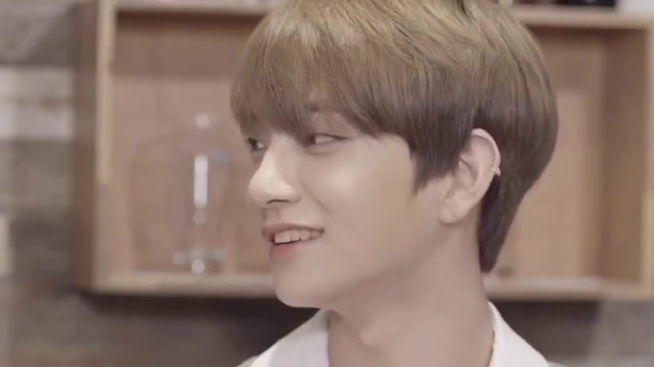 【SEVENTEEN】【日本語字幕?】ジョンハンとジョシュアの質問コーナー！！(Star Road)